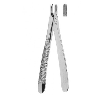 Extracting Forceps